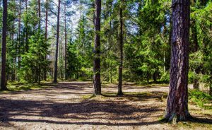 Paragnosten en helderzienden