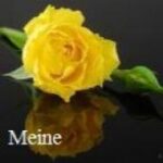 Meine