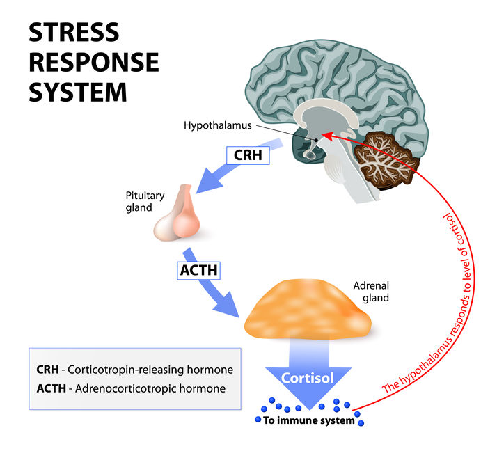 How tot de-stress?